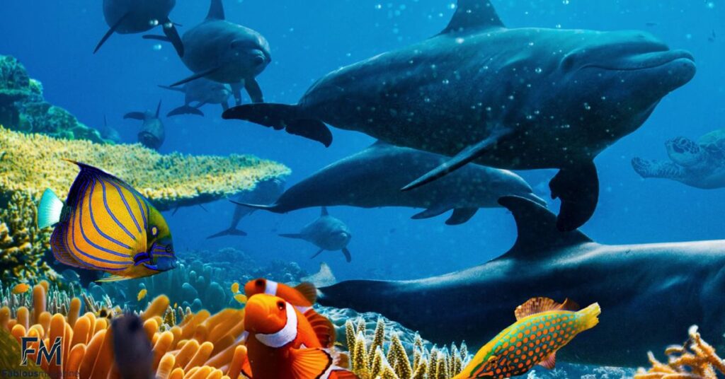 Ocean Jokes